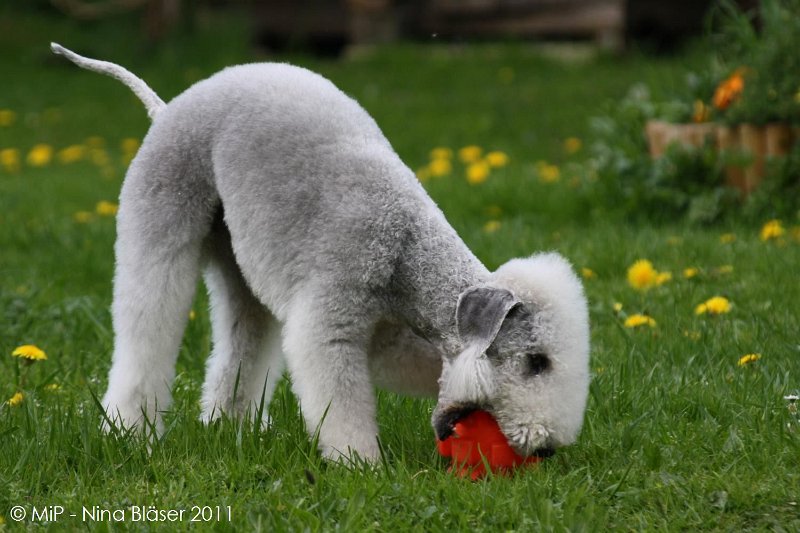 2011-04-23 Quincy etc (45).jpg